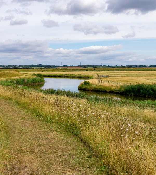 South Woodham Ferrers Branch Image