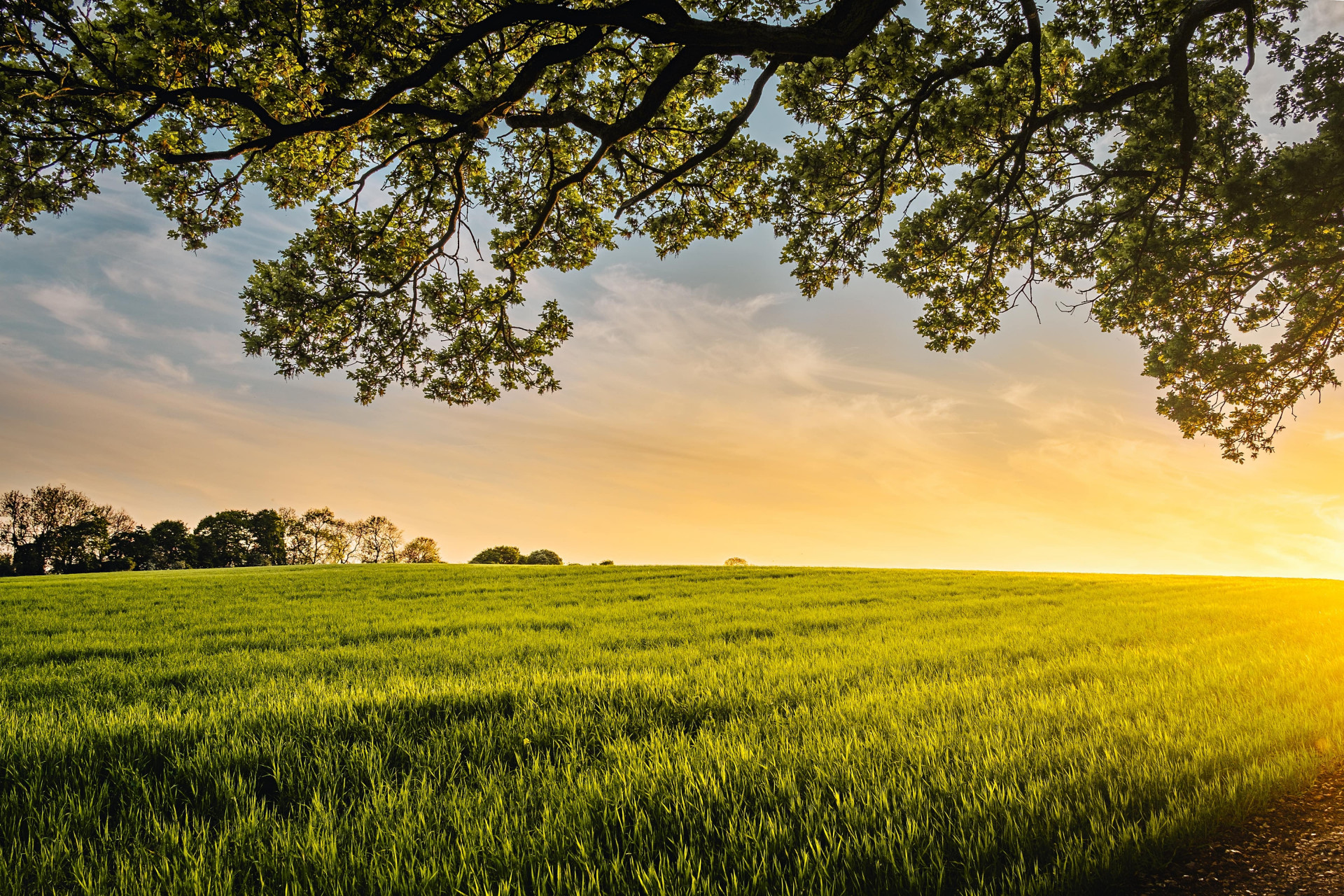 Divorce And The Family Farm - Guide Image