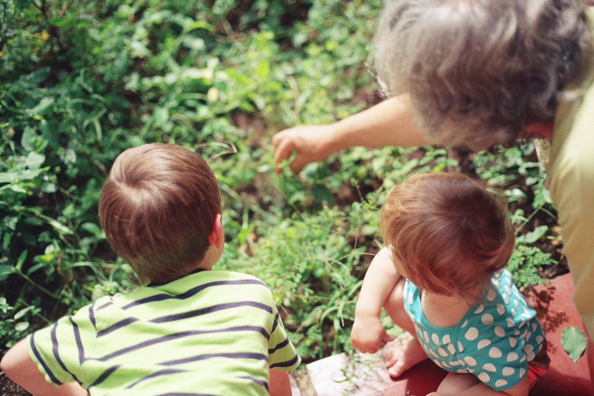 Rights of Grandparents In Children Proceedings - Guide Image