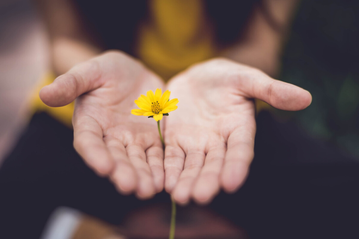 Charitable Giving And Estate Planning - Guide Image