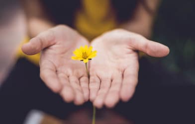 Charitable Giving And Estate Planning - Guide Image